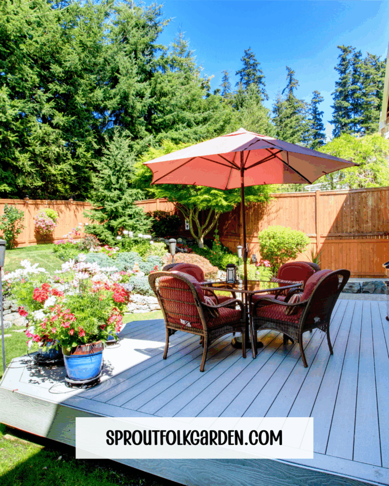 Amazon Finds for the Perfect Patio