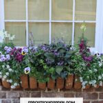 How to Create a Blooming Window Box Garden (No Green Thumb Required!)