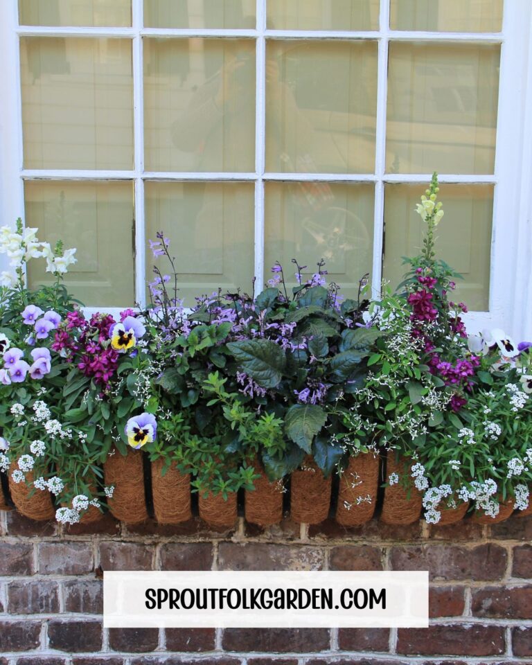 How to Create a Blooming Window Box Garden (No Green Thumb Required!)