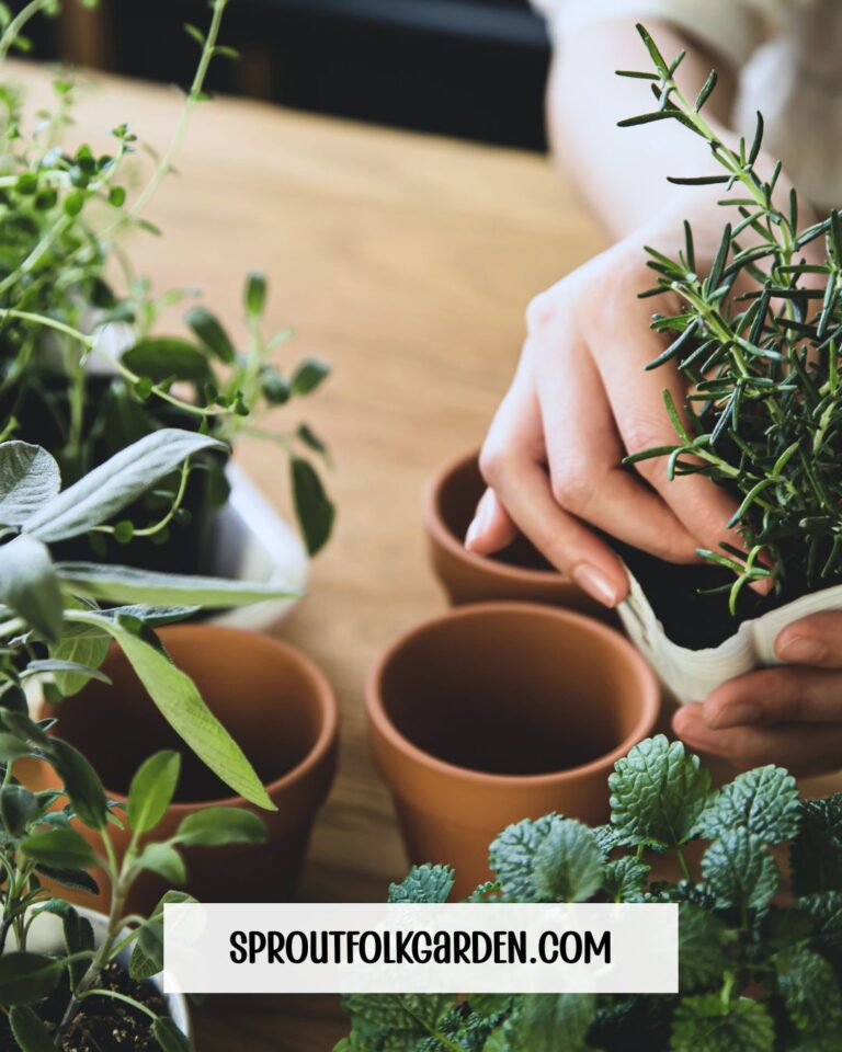 How to Start an Indoor Herb Garden (Even If You’ve Never Grown a Thing!)